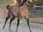 Immagine 5