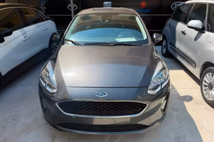 Ford Fiesta 1.1 75 CV GPL 5 porte Plus