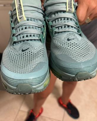 Nike Pegasus premium