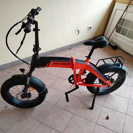 bici elettrica 