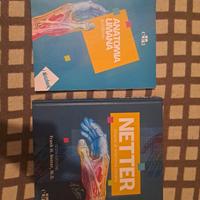 Atlante Anatomia Umana Netter
