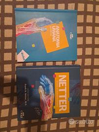 Atlante Anatomia Umana Netter