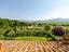 Immagine 15