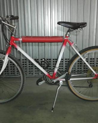 bicicletta usata