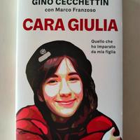 Cara Giulia, Gino Cecchettin