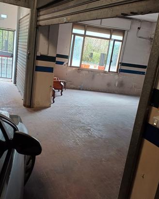 Doppio Garage finestrato