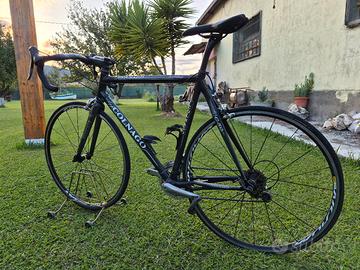 C50 tutto carbonio 
