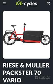 Ebike Cargo Bike 