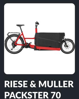 Ebike Cargo Bike 