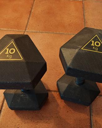 Manubri 10kg