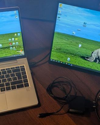 MK185 MONITOR PORTATILE 18.5"