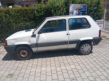 panda 