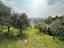 Immagine 19