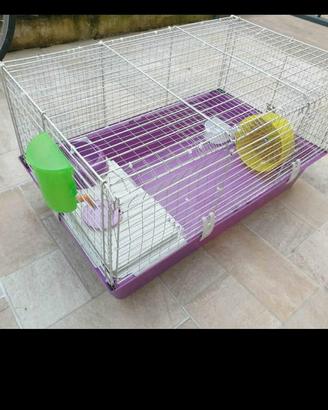 Gabbia per roditori (Criceto,cognilio,cavie...)