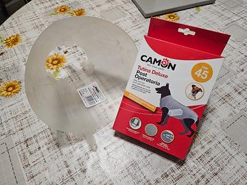 tutina e collare cane gatto sterilizzazione