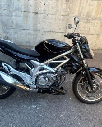SUZUKI Gladius GLADIUS SFV 650