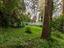 Immagine 23