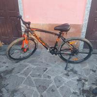 bicicletta a pedalata autoassistita