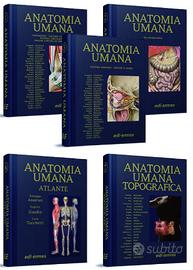 Anatomia umana Trattato e l'Atlante 2025 NUOVO