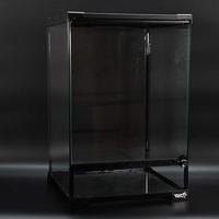 Teche rettili arboricoli