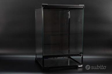 Teche rettili arboricoli