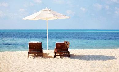 Rif.2288| attivita'/lic.commerciale chioggia