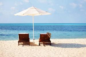 Rif.2288| attivita'/lic.commerciale chioggia