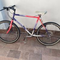 Bici uomo Olympia Tracker Alpina