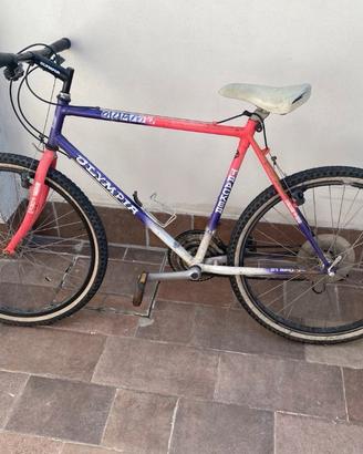 Bici uomo Olympia Tracker Alpina