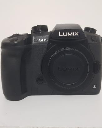 Mirrorless Panasonic GH5 body usato