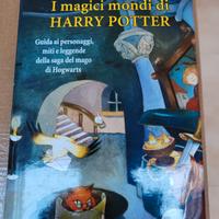 I magici mondi di Harry Potter