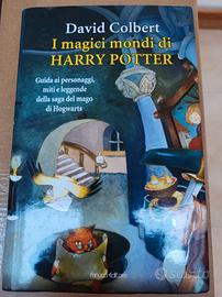I magici mondi di Harry Potter