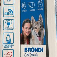 Smartphone BRONDI AMICO XL Nero