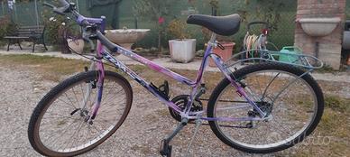 bicicletta mtb 26