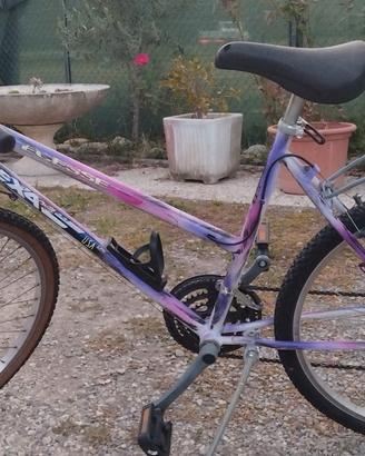bicicletta mtb 26