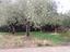 Immagine 24