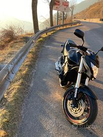 Honda hornet 600 anno 2011