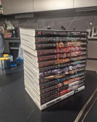 TERRAFORMARS 1-13 +21 