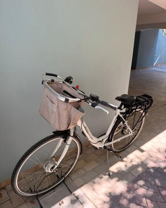 Bicicletta Elettrica a Pedalata Assistita