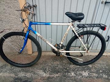 bici da uomo con cambi e portapacchi