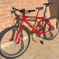 BICI Mountain Bike