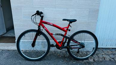 Mountain bike