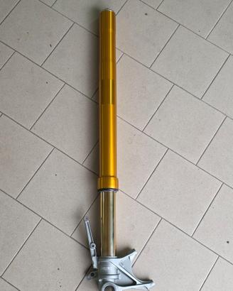 GAMBA FORCELLA SINISTRA (OHLINS)