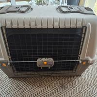 kennel cane trasporto auto