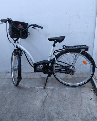 Bici assistita da passeggio