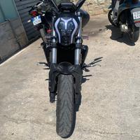 Benelli 502 C - 2022