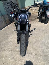 Benelli 502 C - 2022