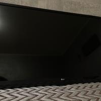 TV Monitor LG 28 pollici LED