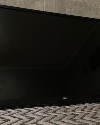 TV Monitor LG 28 pollici LED