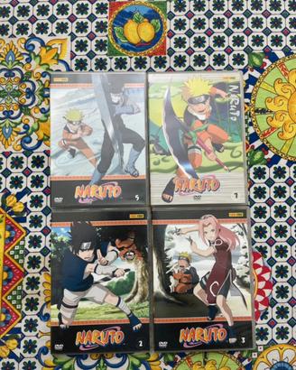 DVD Naruto prima stagione panini